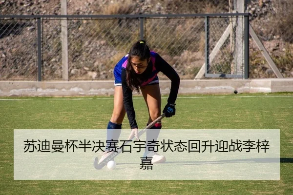 su-di-man-bei-ban-jue-sai-shi-yu-qi-zhuang-tai-hui-sheng-ying-zhan-li-zi-jia-2-420.jpg